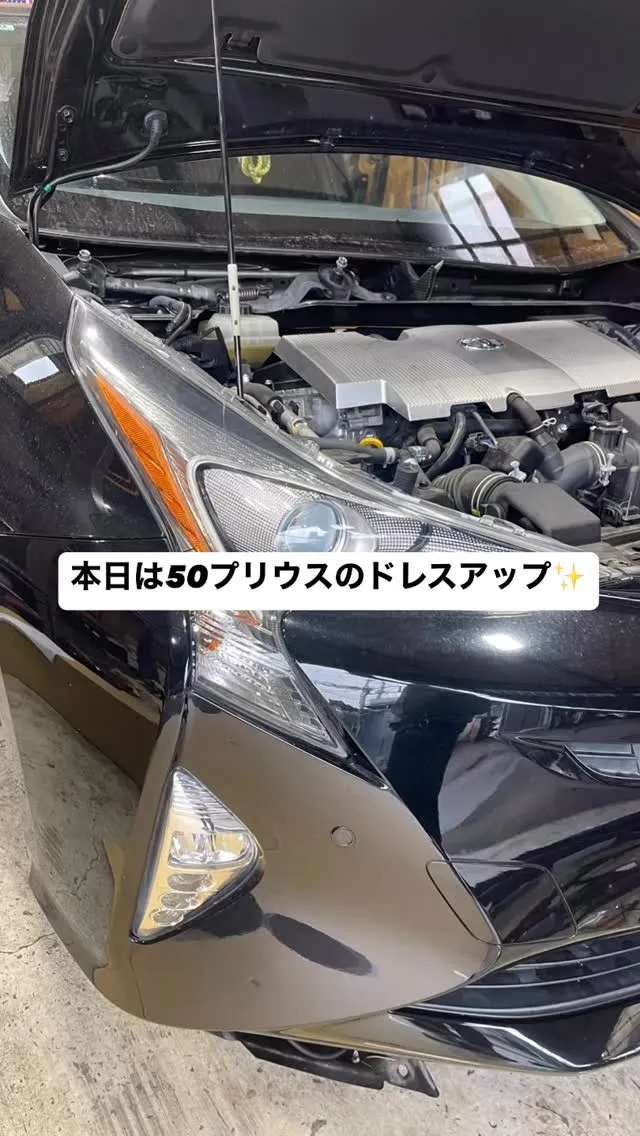 プリウス　ドレスアップ✨